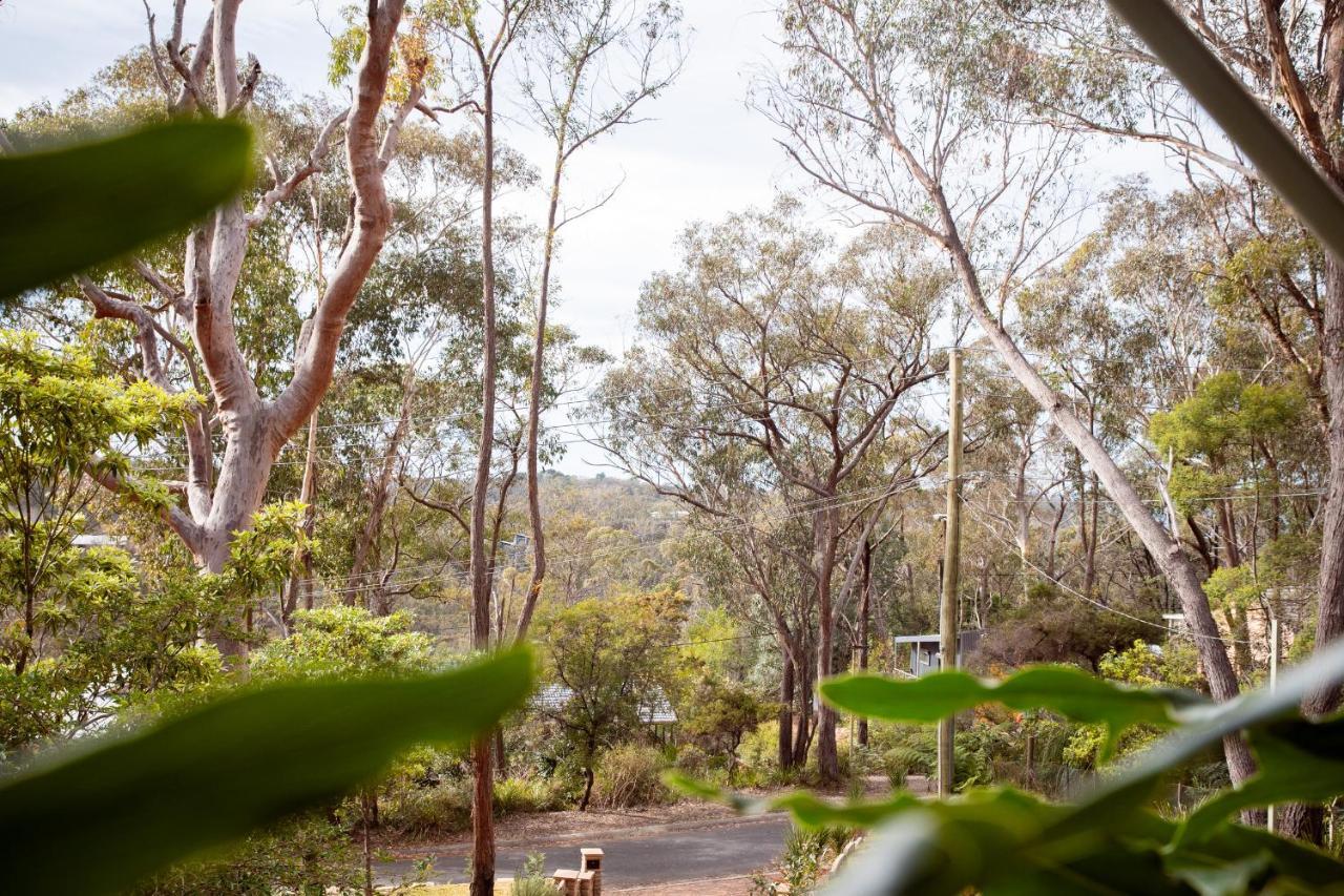 Snooty Fox Bed &Breakfast Bed and Breakfast Hazelbrook Exterior foto