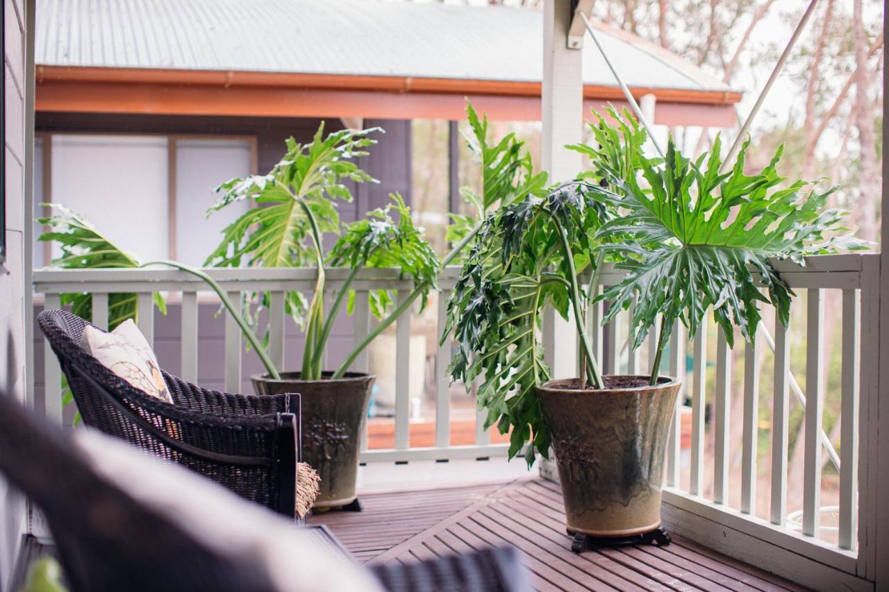 Snooty Fox Bed &Breakfast Bed and Breakfast Hazelbrook Exterior foto